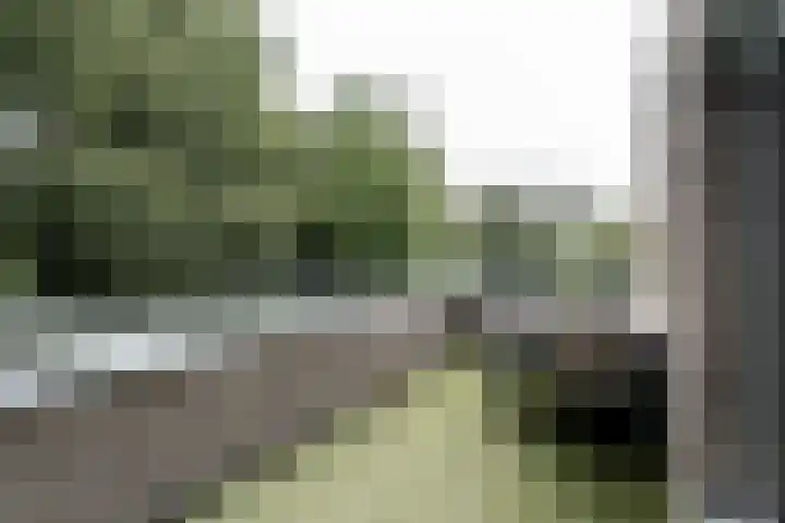 Wisselslag 16 Breda thumbnail 30