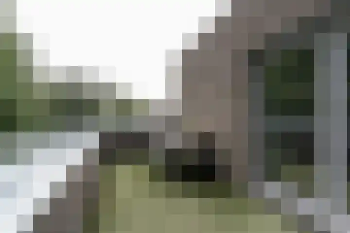 Wisselslag 16 Breda thumbnail 31