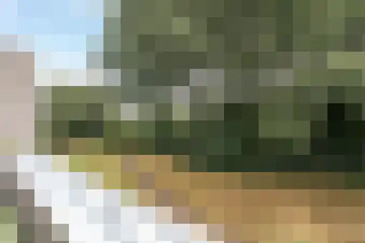Wisselslag 16 Breda thumbnail 33