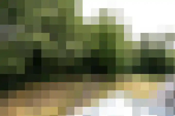 Wisselslag 16 Breda thumbnail 34