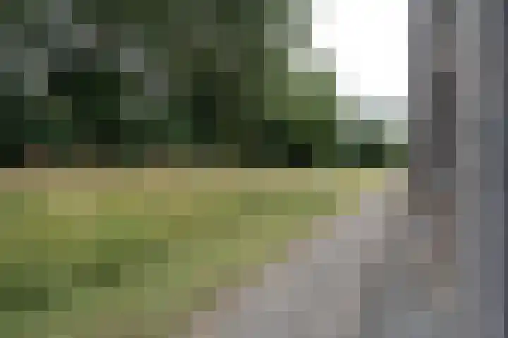 Wisselslag 16 Breda thumbnail 35