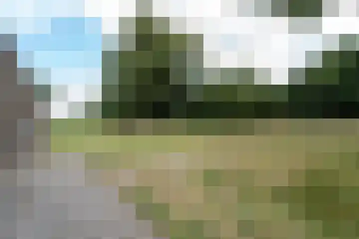 Wisselslag 16 Breda thumbnail 36