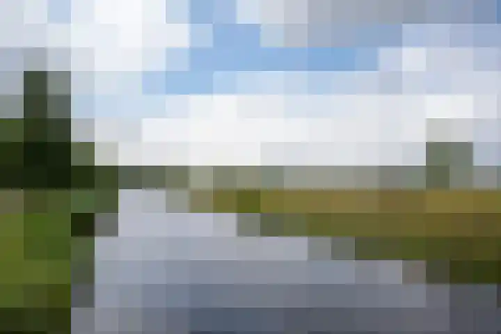 Wisselslag 16 Breda thumbnail 39