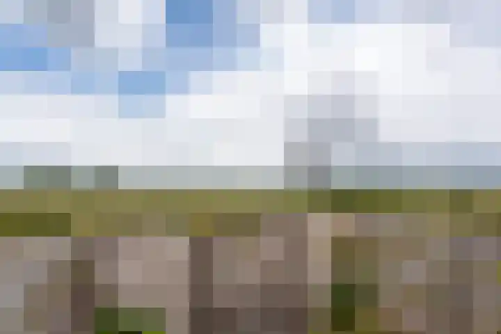 Wisselslag 16 Breda thumbnail 40