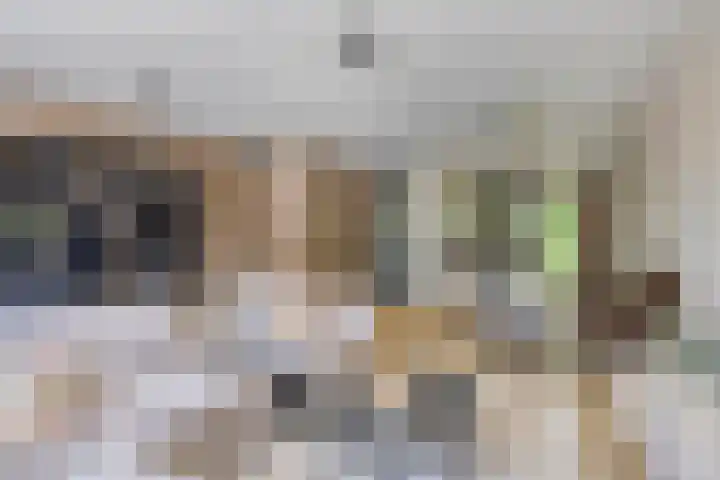 Wisselslag 19 Breda thumbnail 11