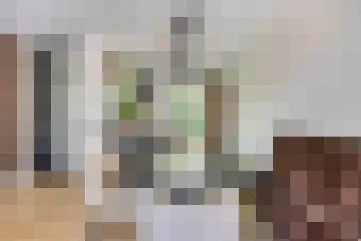 Wisselslag 19 Breda thumbnail 13
