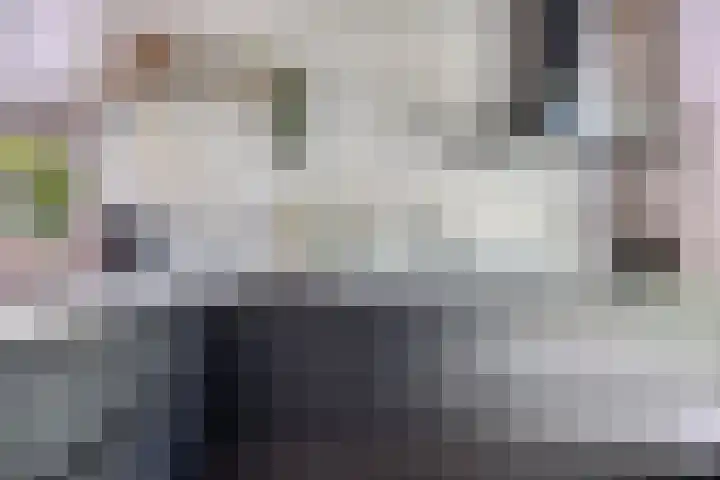 Wisselslag 19 Breda thumbnail 16