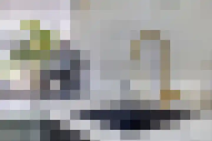 Wisselslag 19 Breda thumbnail 18