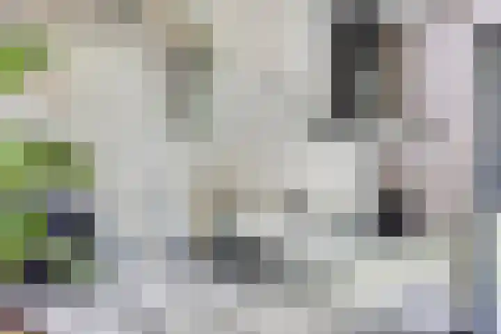 Wisselslag 19 Breda thumbnail 20