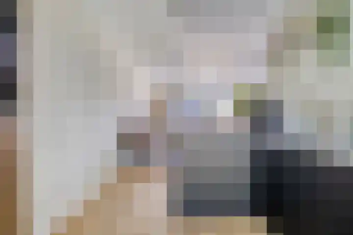 Wisselslag 19 Breda thumbnail 21