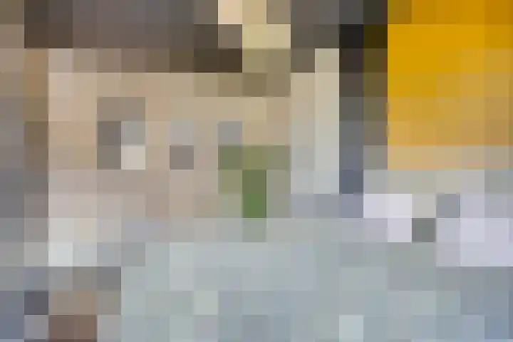 Wisselslag 19 Breda thumbnail 26