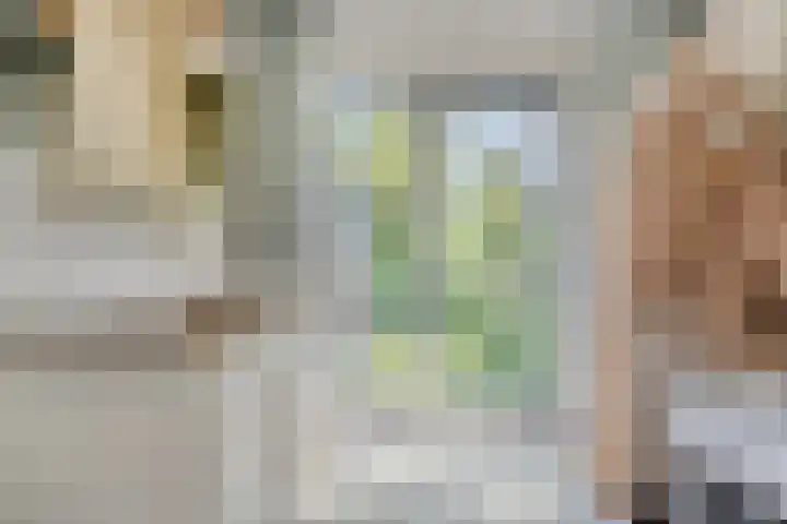 Wisselslag 19 Breda thumbnail 30
