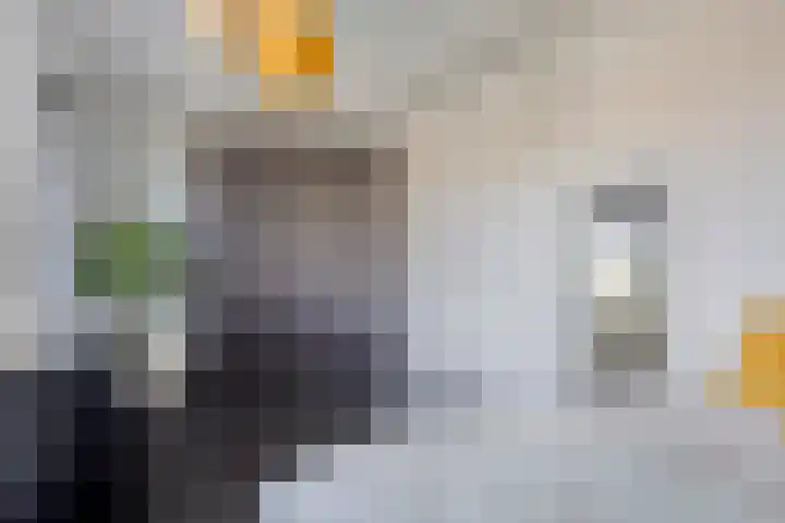 Wisselslag 19 Breda thumbnail 38
