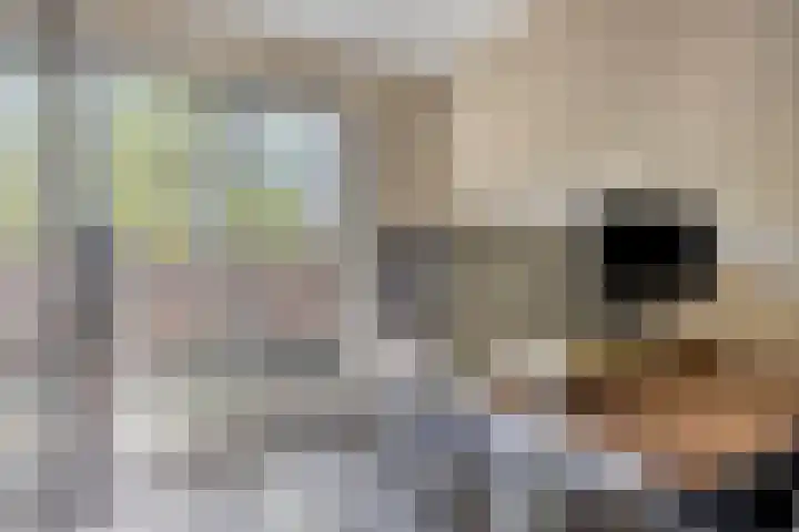 Wisselslag 19 Breda thumbnail 39
