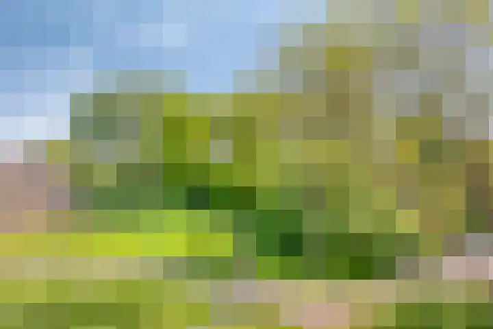 Wisselslag 19 Breda thumbnail 42