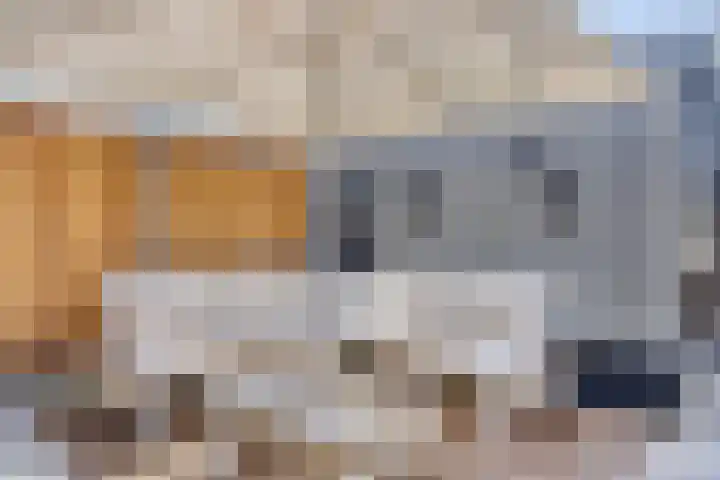 Wisselslag 19 Breda thumbnail 48