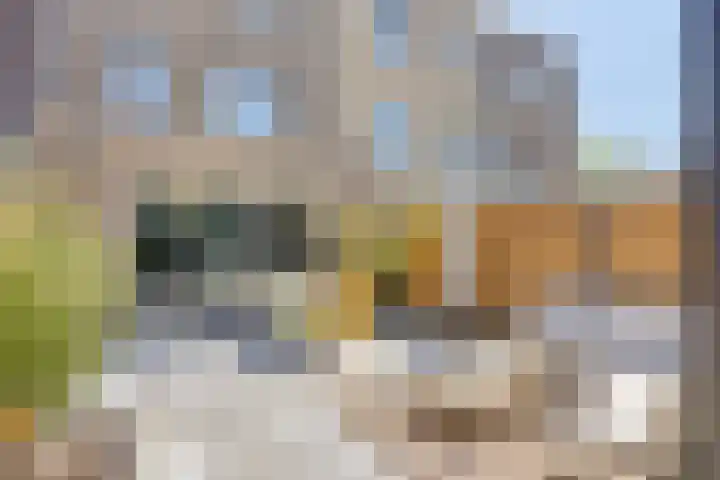 Wisselslag 19 Breda thumbnail 49