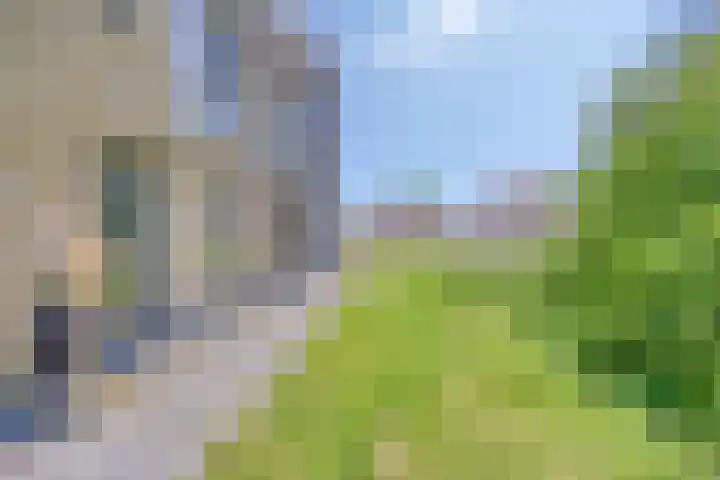 Wisselslag 19 Breda thumbnail 54
