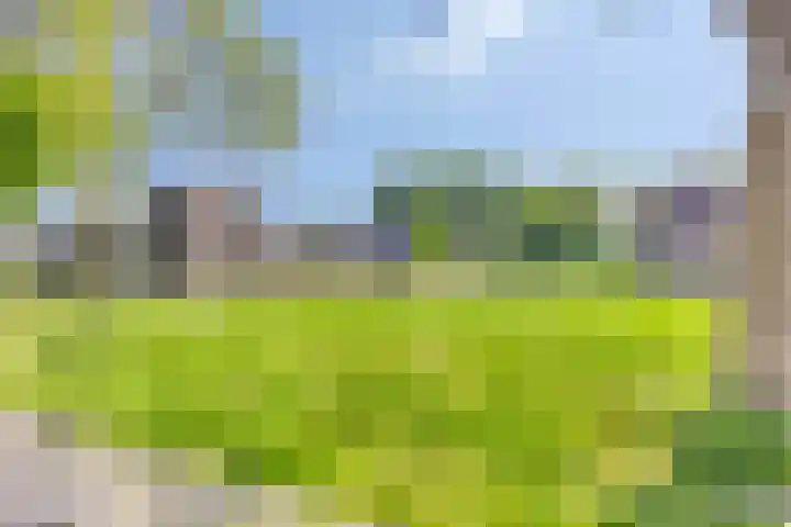 Wisselslag 19 Breda thumbnail 56