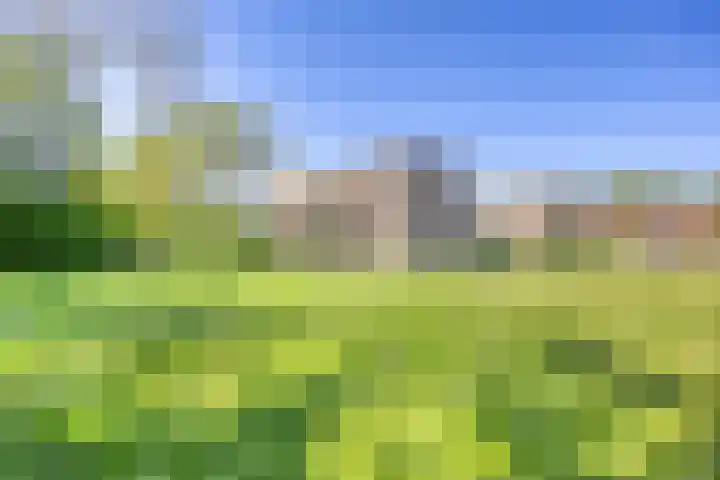 Wisselslag 19 Breda thumbnail 57