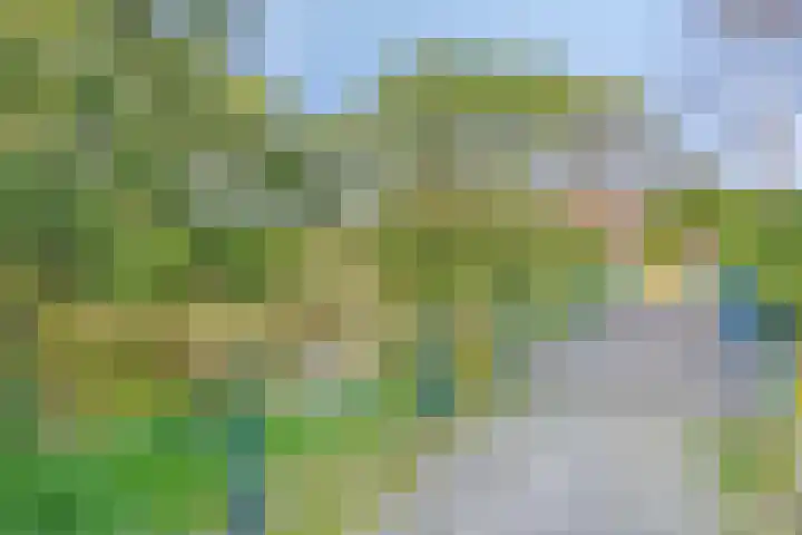 Wisselslag 19 Breda thumbnail 60