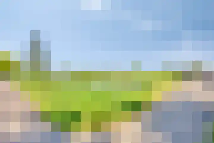 Wisselslag 19 Breda thumbnail 61