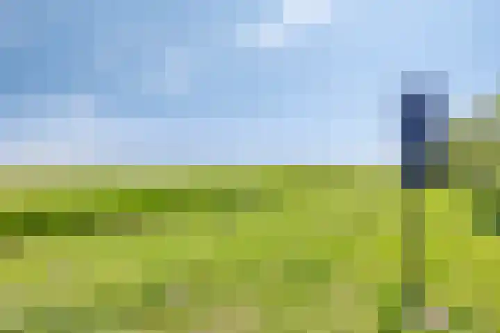 Wisselslag 19 Breda thumbnail 63