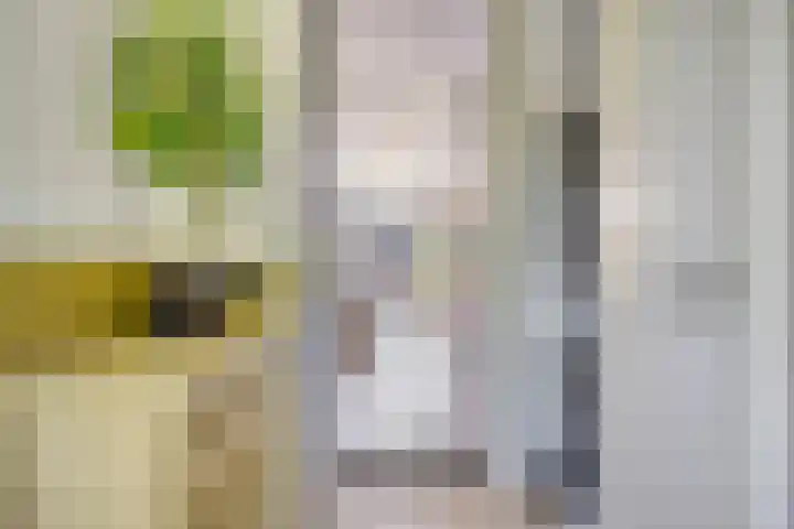 Wisselslag 19 Breda thumbnail 7