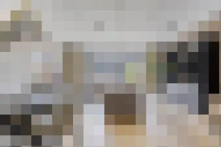 Wisselslag 19 Breda thumbnail 9