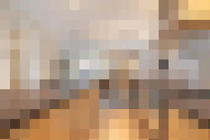 Wisselslag 2 Breda thumbnail 11