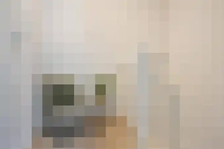 Wisselslag 2 Breda thumbnail 21