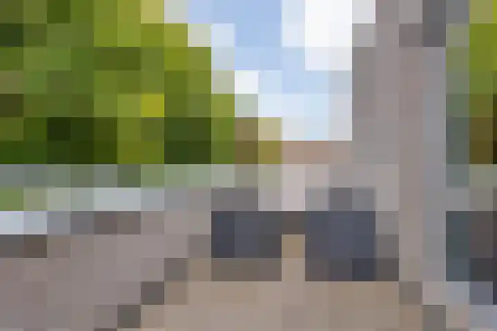 Wisselslag 2 Breda thumbnail 26
