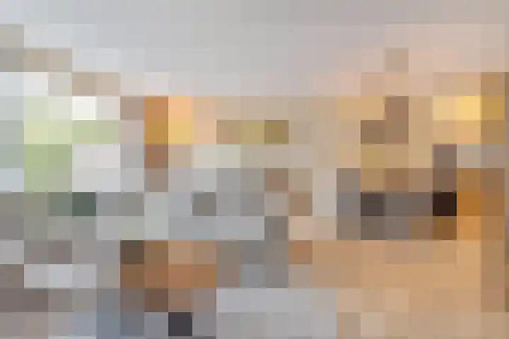 Wisselslag 2 Breda thumbnail 5