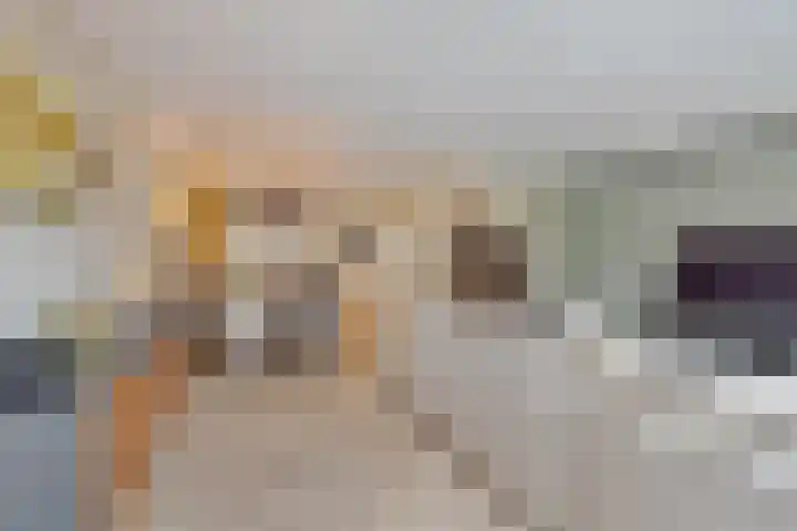 Wisselslag 2 Breda thumbnail 7