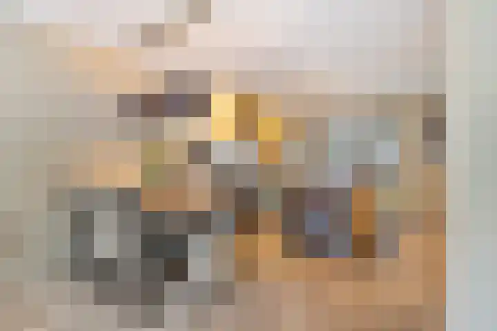 Wisselslag 2 Breda thumbnail 8