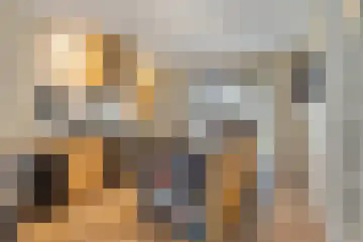 Wisselslag 2 Breda thumbnail 9