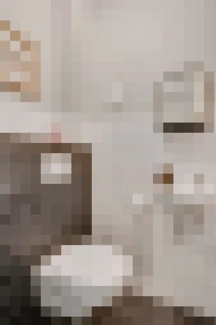 Wisselslag 20 Breda thumbnail 13