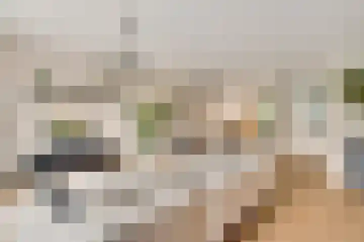 Wisselslag 20 Breda thumbnail 16