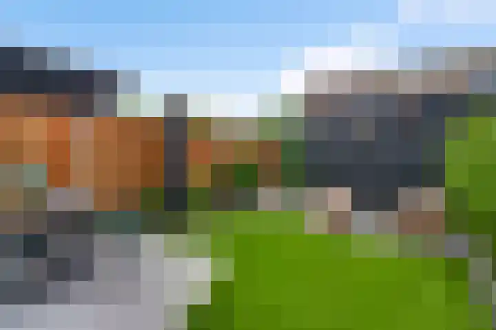 Wisselslag 20 Breda thumbnail 23