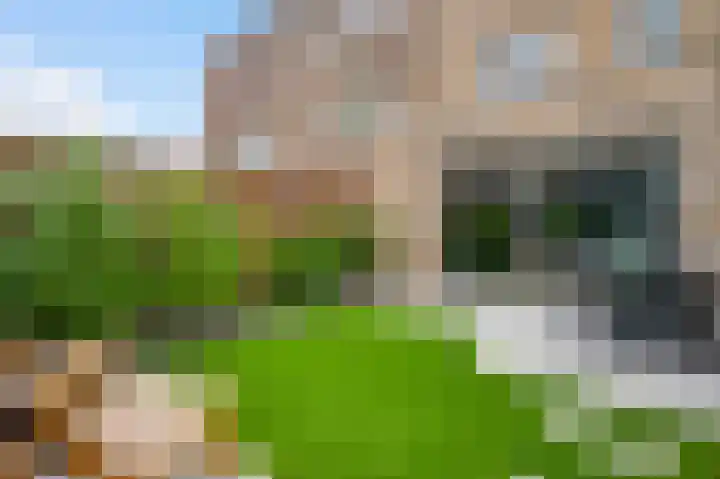 Wisselslag 20 Breda thumbnail 26