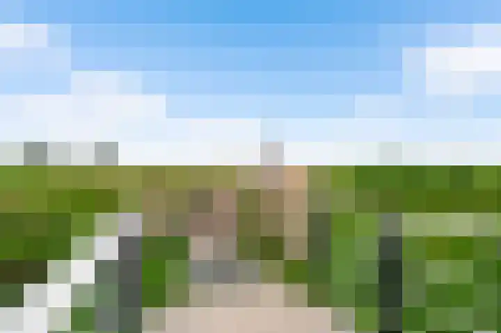 Wisselslag 20 Breda thumbnail 29