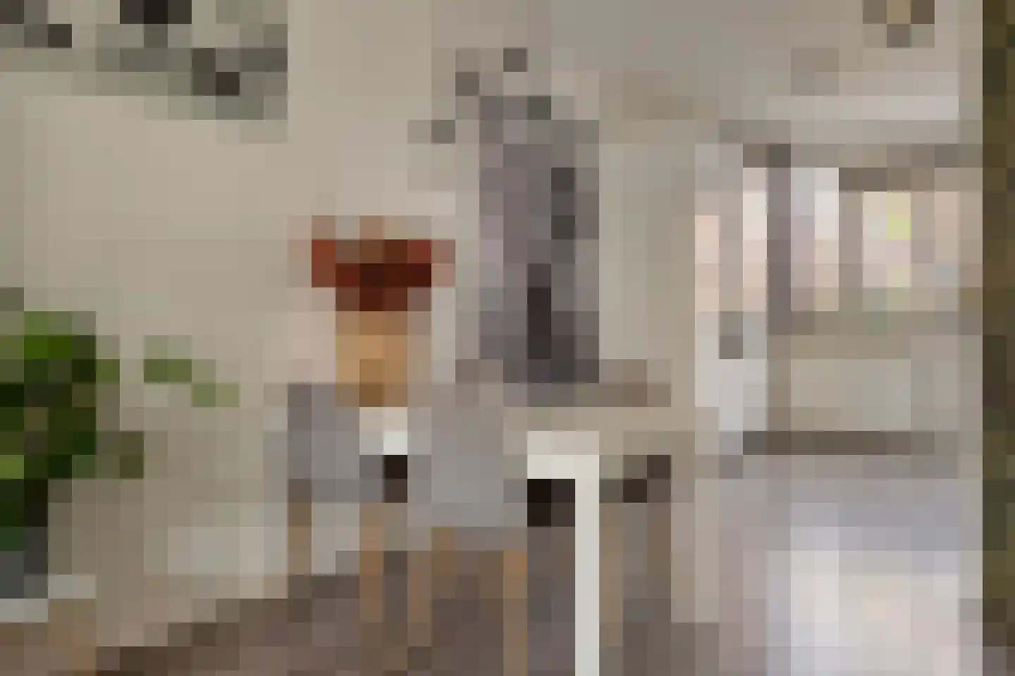 Wisselspoor 133 Capelle aan den IJssel thumbnail 15