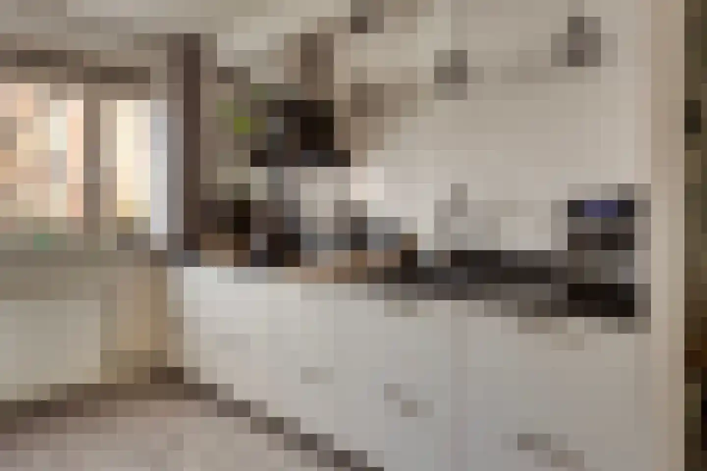 Wisselspoor 133 Capelle aan den IJssel thumbnail 16