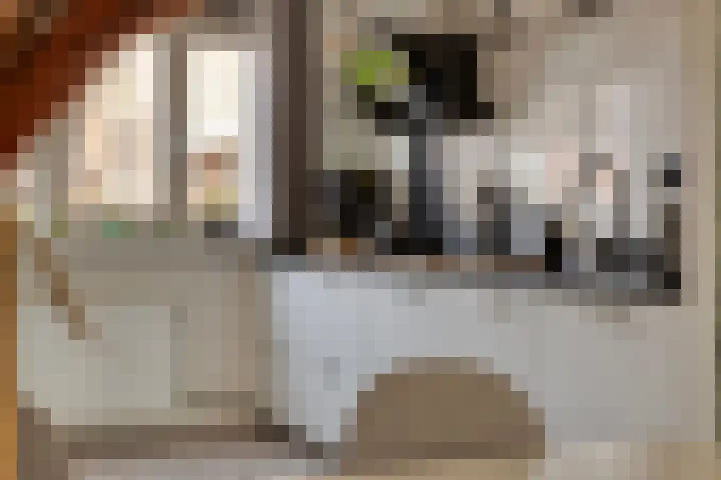 Wisselspoor 133 Capelle aan den IJssel thumbnail 17