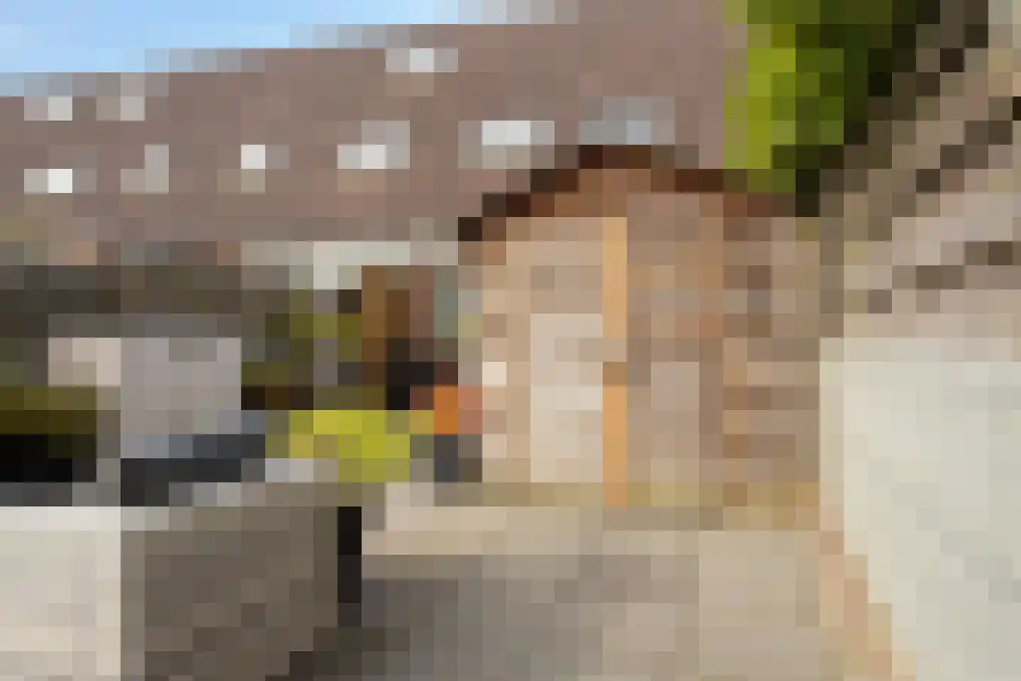 Wisselspoor 133 Capelle aan den IJssel thumbnail 22