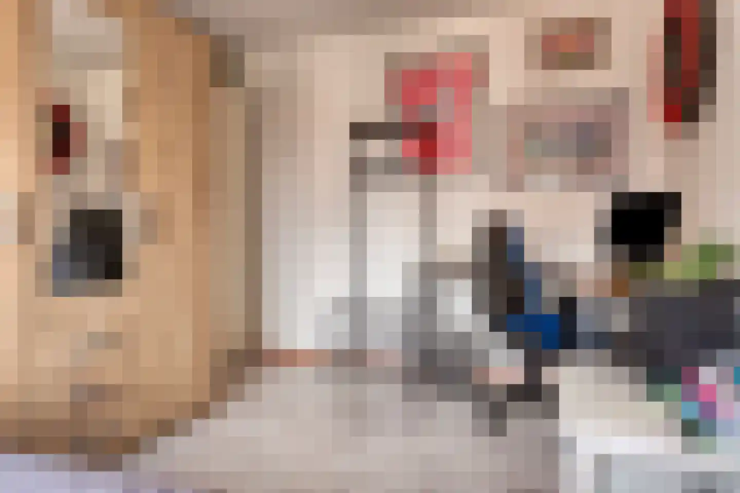 Wisselspoor 133 Capelle aan den IJssel thumbnail 38