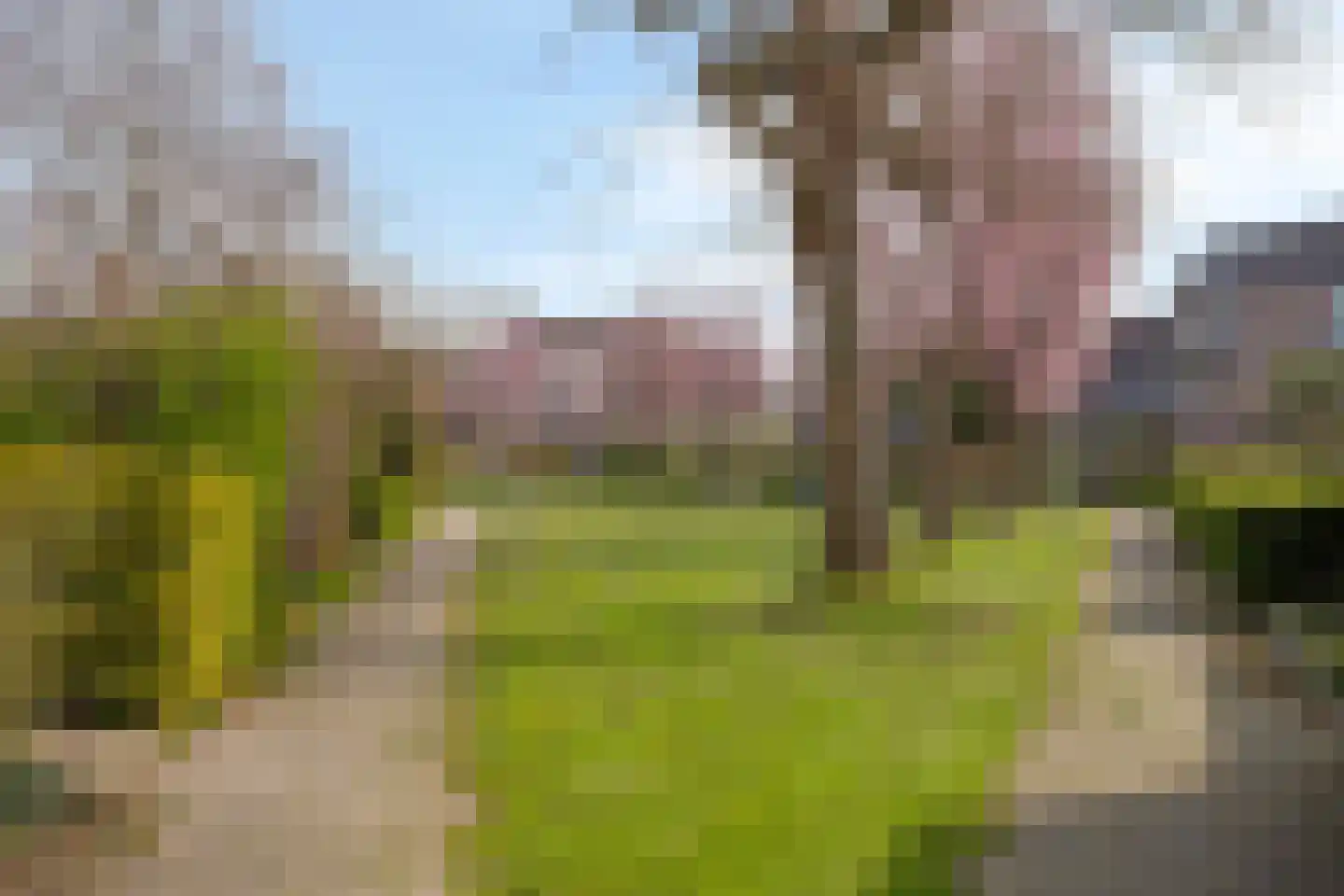 Wisselspoor 133 Capelle aan den IJssel thumbnail 43