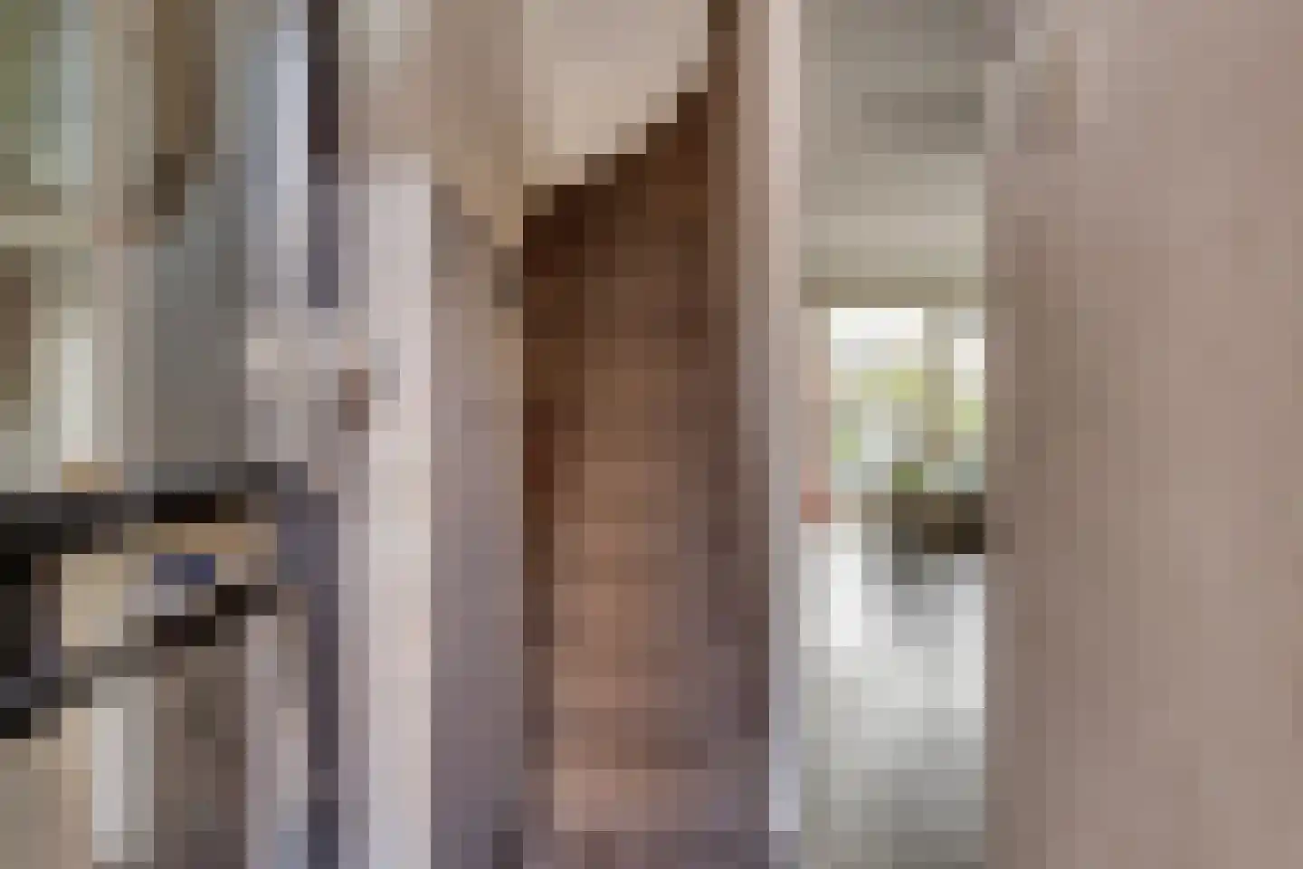 Wisselspoor 133 Capelle aan den IJssel thumbnail 8