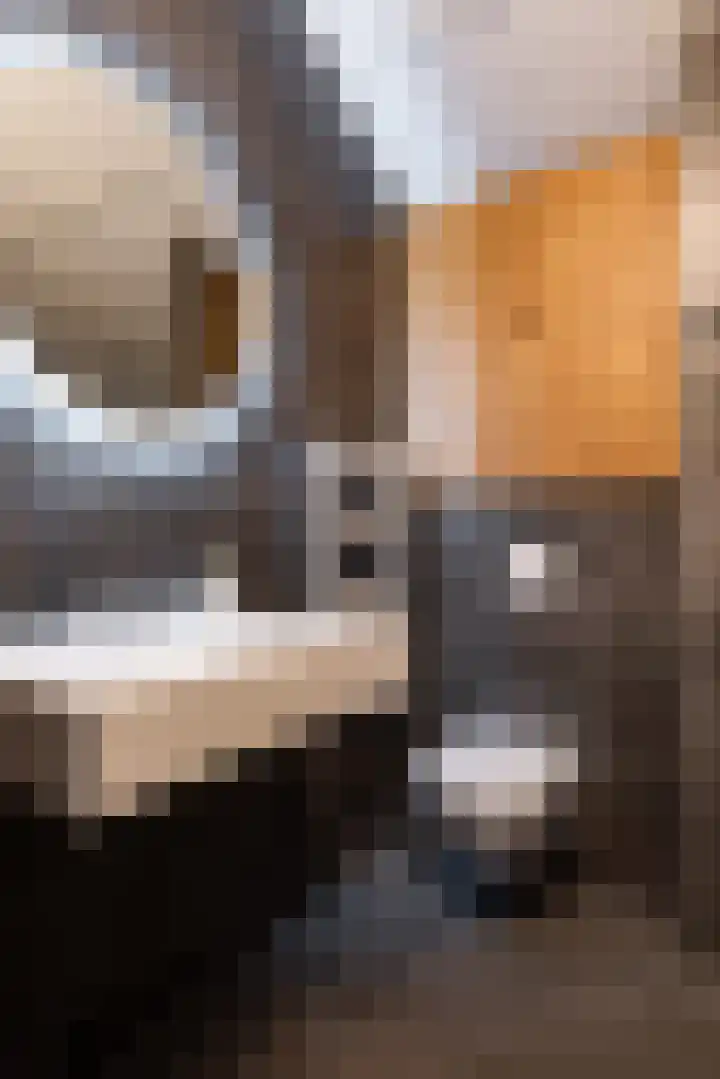 Wisselstraat 10 Utrecht thumbnail 38