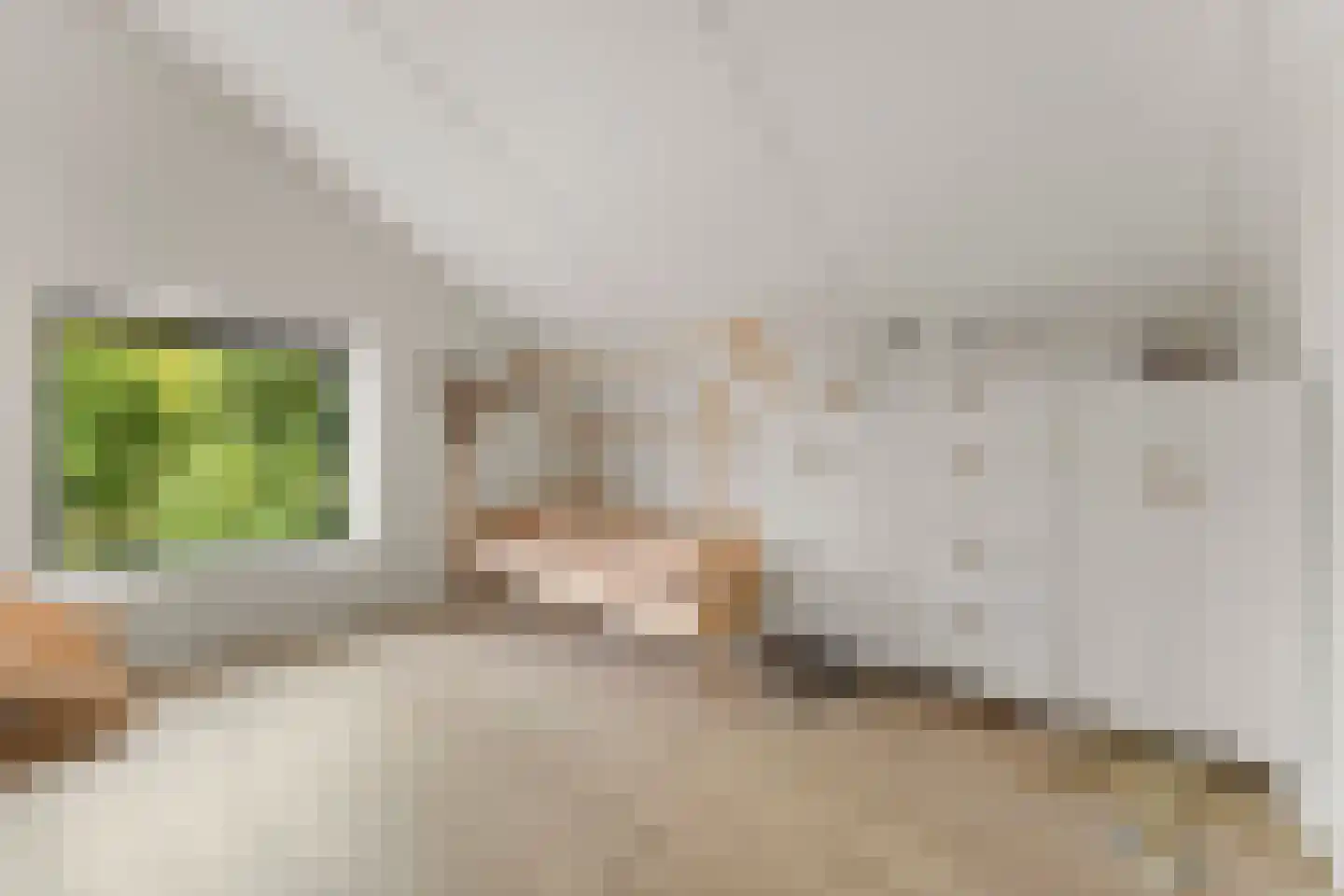 Wisselstraat 2 Utrecht thumbnail 30